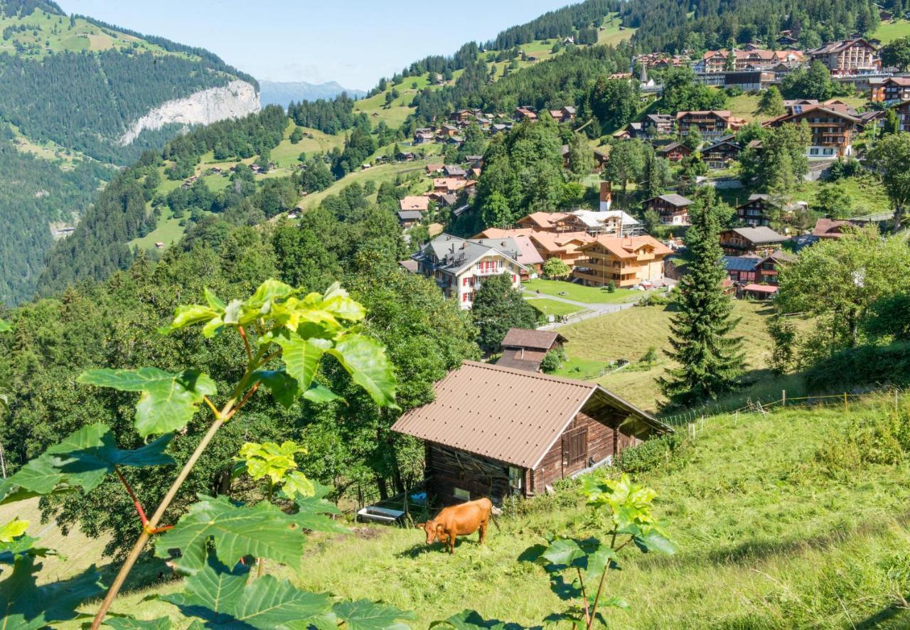 Panoramapark Soleil Chalet B Wengen Exteriör bild